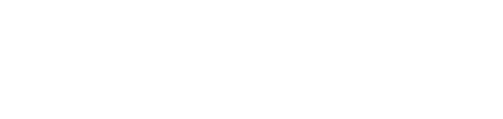 Chemik Group