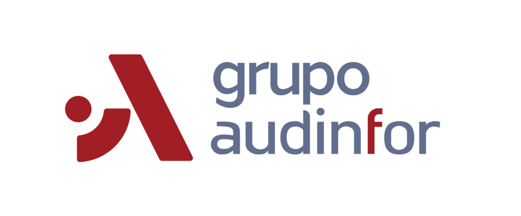 Grupo Audinfor